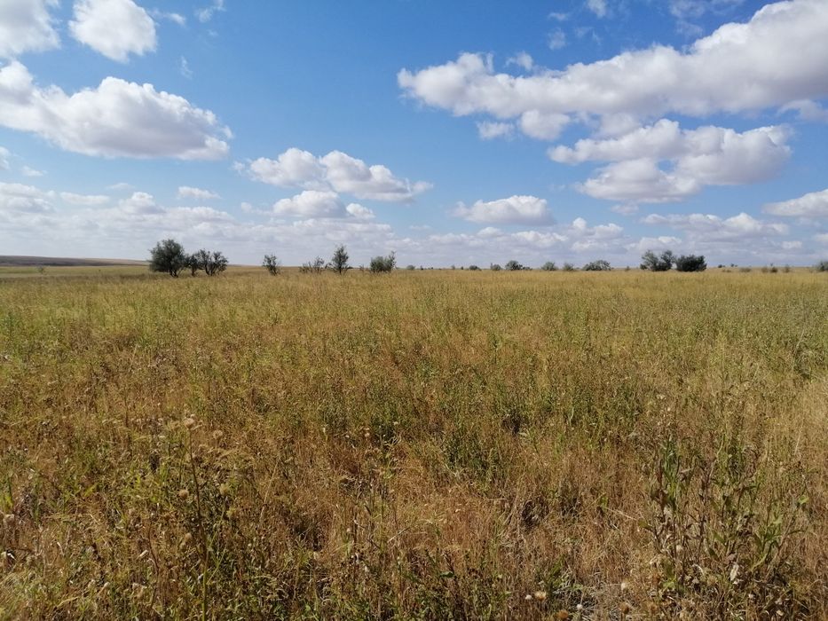 Продам землю под ИЖС жм Серпін или обмен