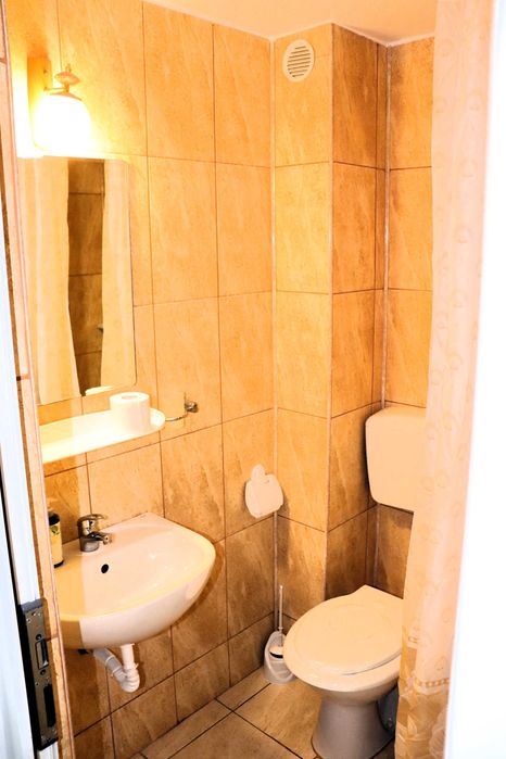 Vila de inchiriat pe termen lung / 8 camere cu bai proprii