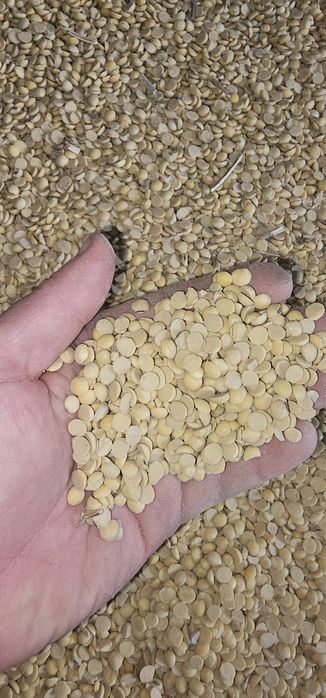 Соевые    сечка.