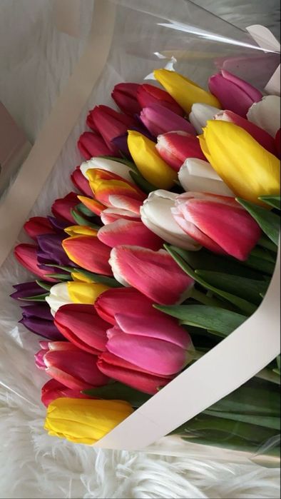 Тюльпаны по низким ценам