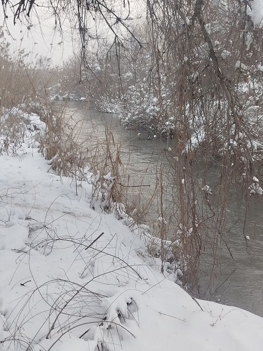 Продажа срочна дома