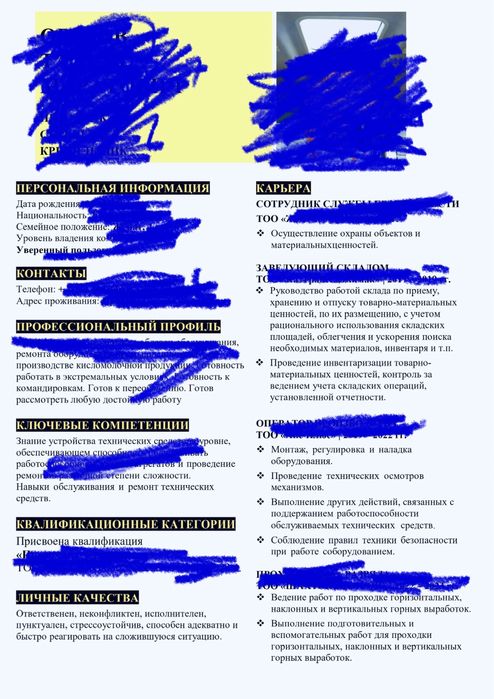 Составление резюме онлайн. Набор текста. Нормоконтроль.