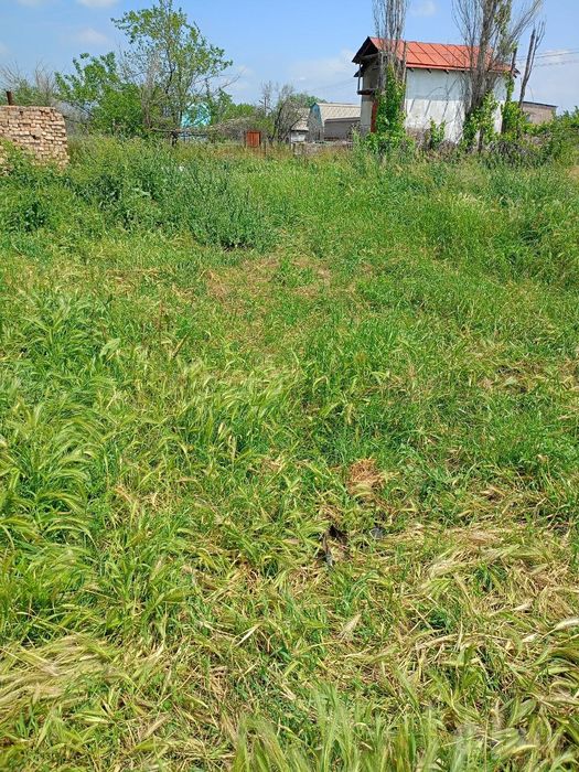 Пискент тумани Акмал Икромовскийда 6сотих курук ер сотилади нархи 4,80