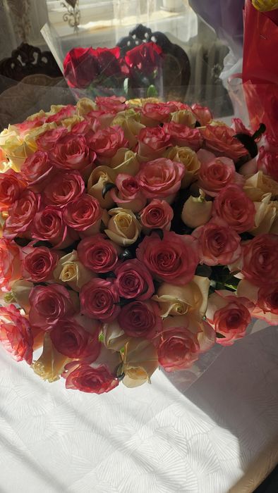 Продам цветы подарины 06.04