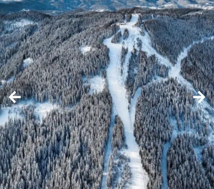 Продава се Парцел в к.к. Пампорово - 332 кв.м за 76 €/кв.м - Снимка #11