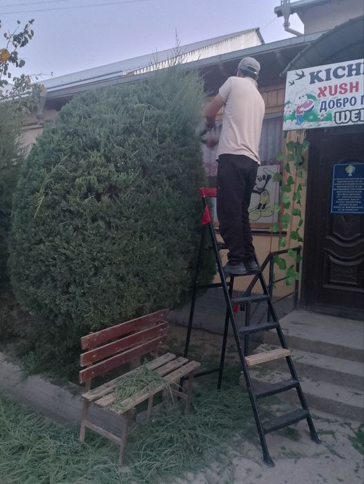 Archa qirqAman xivo boylab