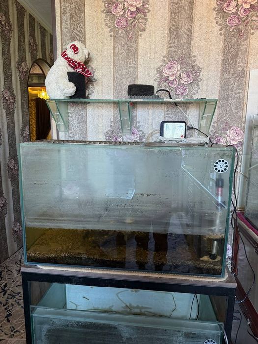 Аквариум аквариум