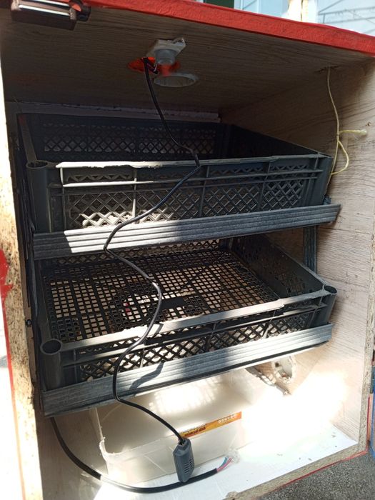 B/u inkubatr ishlashi yaxshi ruchnoy Manzil Joydam Ximik