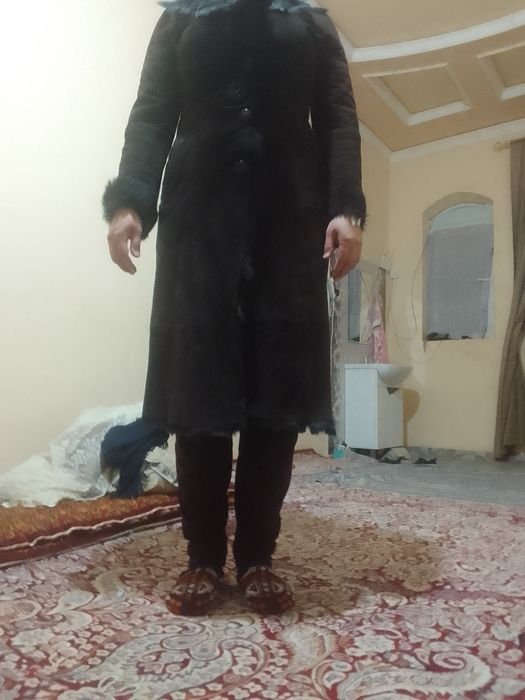 Туретиски диблонка