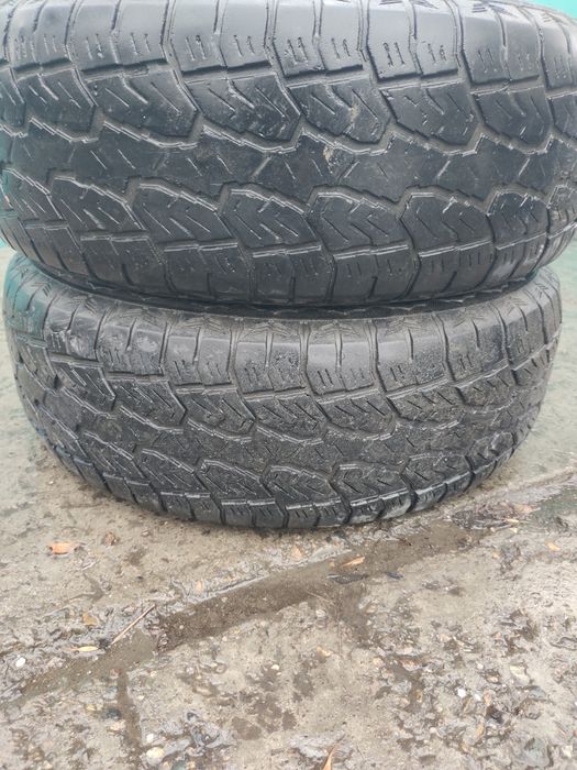 245 70 р16 летние