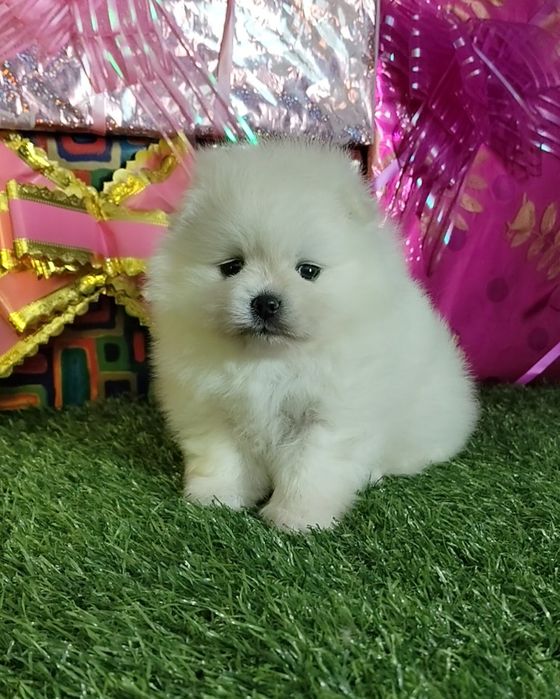 Сссупппер девочка