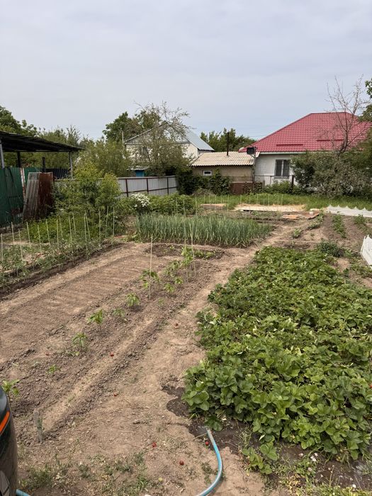 Продам дачу, Туздыбастау