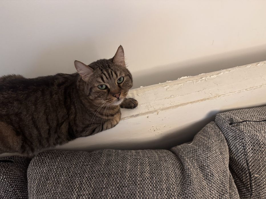 Canapea  extensibila U Mobexpert