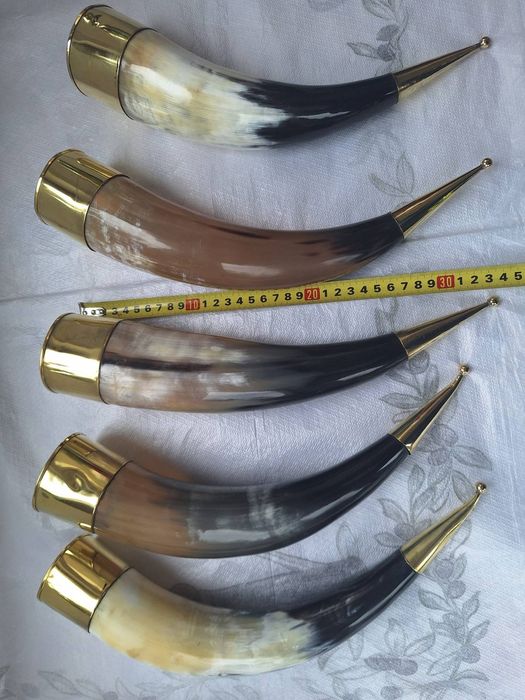 Чаша от естствен рог, викингска чаша