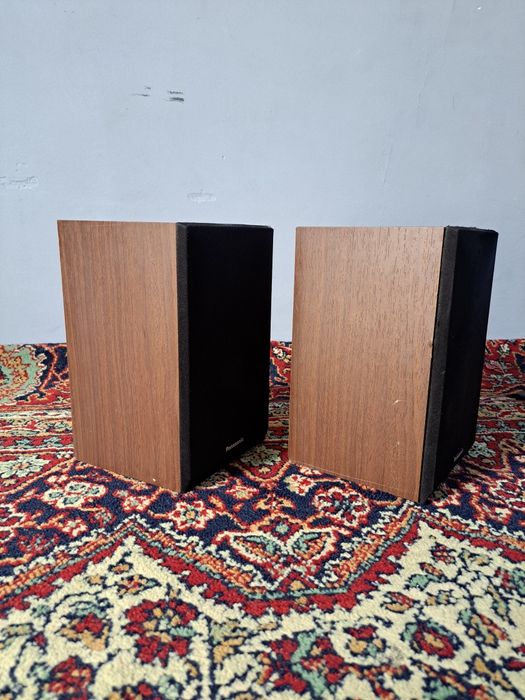 Panasonic  10 watli kalonka