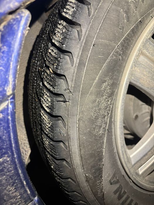 Торес пен қыстық балон 14