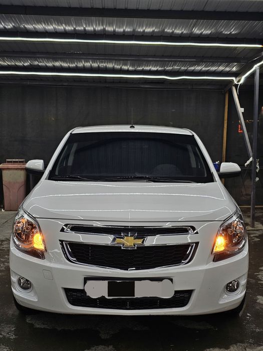 Coblt 2024 stayl navorot bor