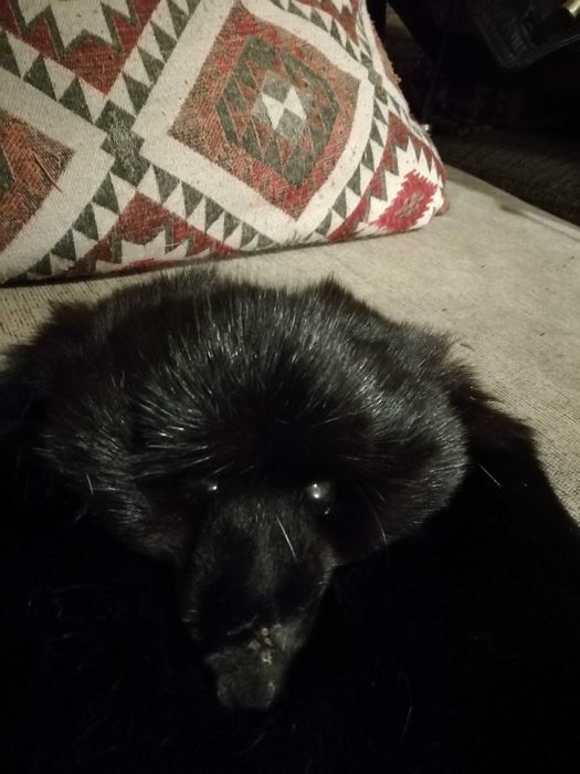 Луксозна кожена дамска чанта кожа –черна  лисица, форма лисичка