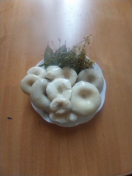 Продам грузди соленые