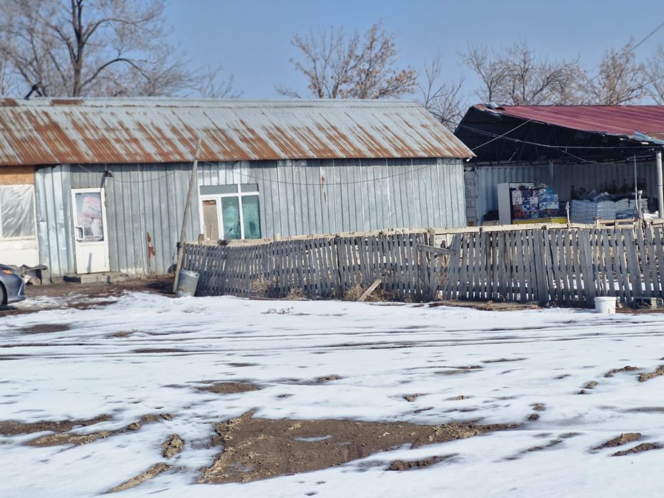 Готовый завод шампиньонов 6000соток