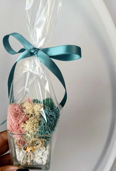 Стъклени кашпи със скандинавски мъх