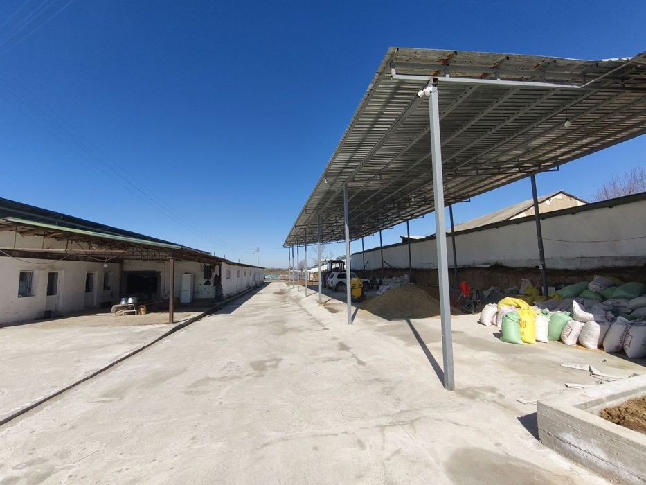 Мол  бокиш ун таёр ферма