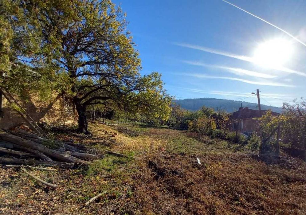 Продава се Парцел в с. Шипочано, Област Кюстендил - 969 кв.м за 19 €/кв.м - Снимка #13