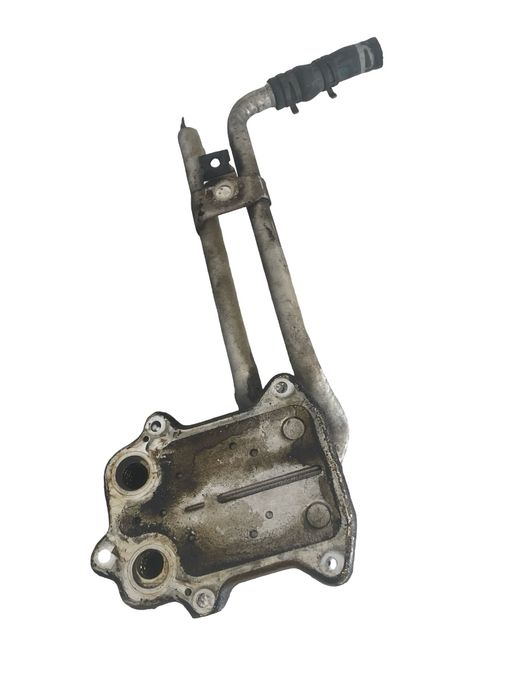 Termoflot Volkswagen Golf V 1K1 2003 - 2009 1.4 Tsi Bmy 03C117021E