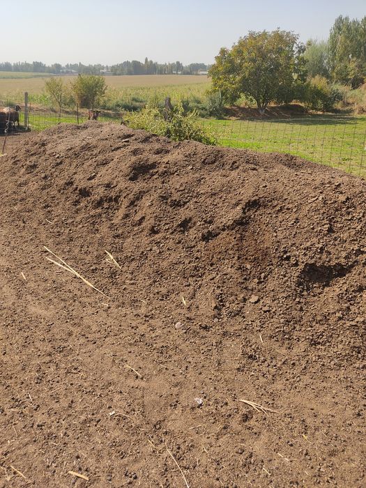 Chirindi Go'ng o'g'tlar bog'larga, ko'chatlarga, gazonga