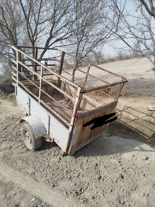 Holati zoʻr ishga tayyor