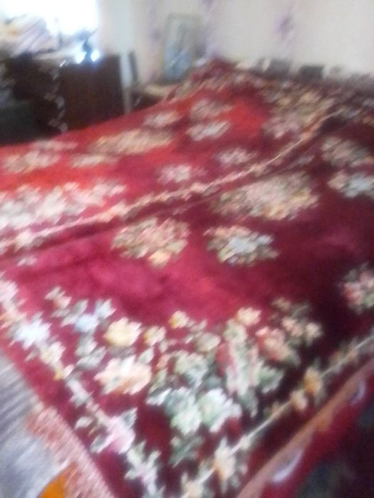 10 броя различни китеници