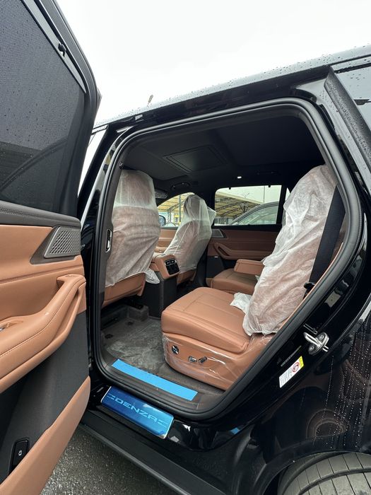 Denza N8L +bron plyonka