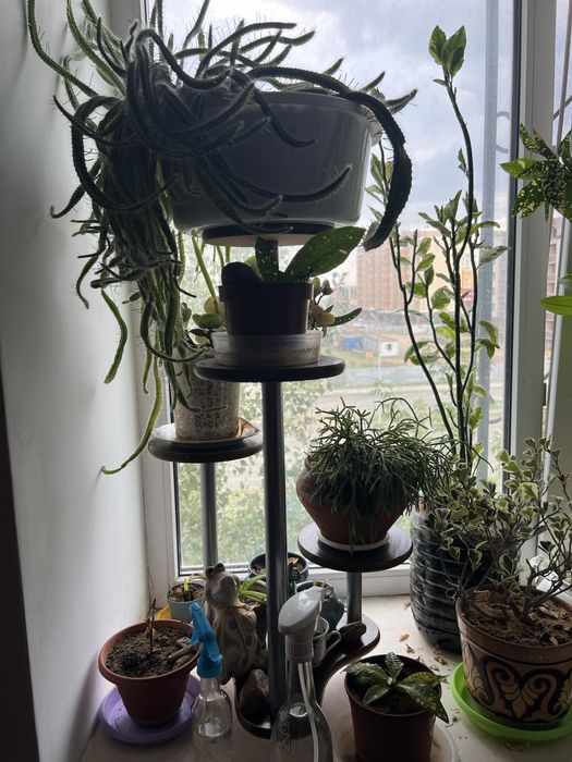 Подставка для цветов