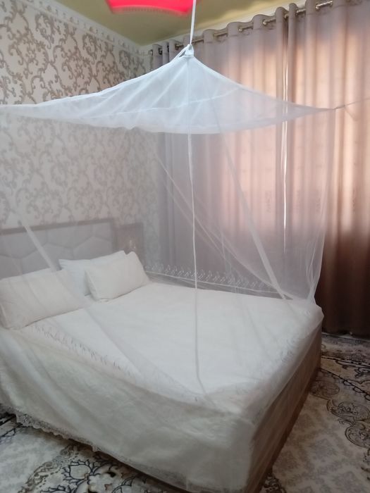 Пашшахона, тюль сеткадан, пешахона