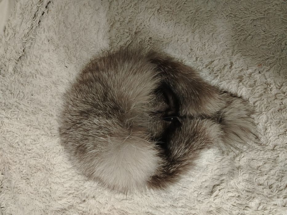 Отдам меховую шапку