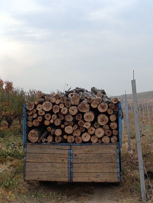 O’tin дрова сухой утин.