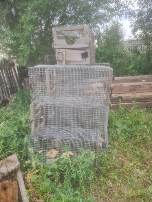 Клетки под что угодно