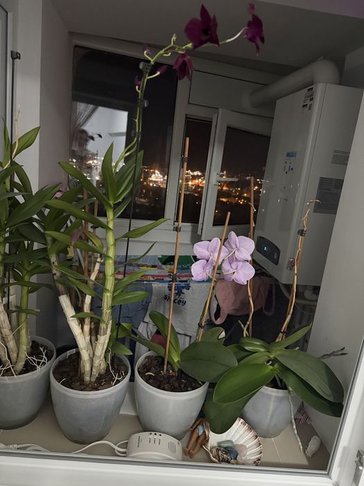Direct proprietar ofer spre vanzare Garsoniera/Studio 38mp Central