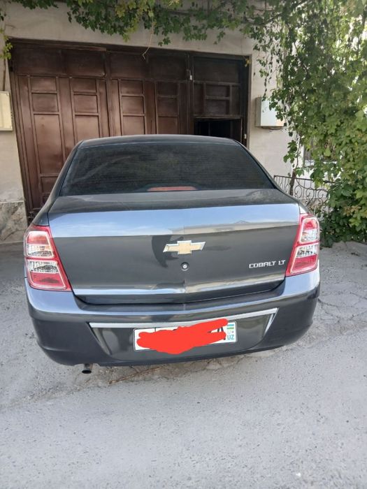 2019 metan kraska toza