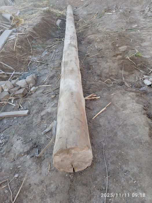 Оғочлар сотилади