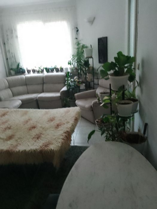 Дава се под наем Тристаен апартамент в Плевен, Идеален център - 65 кв.м за 178.5 € - Снимка #1