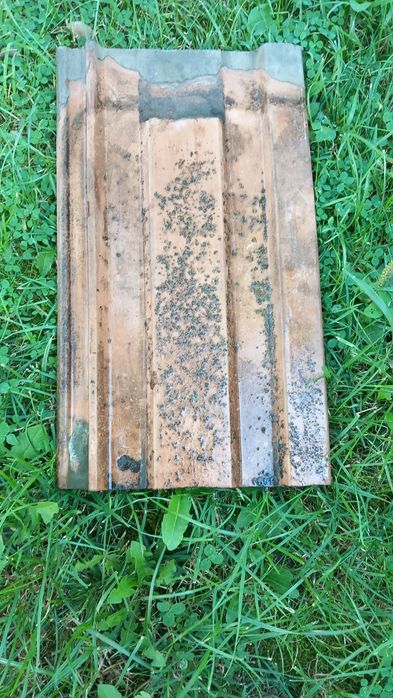 Țiglă veche + coama