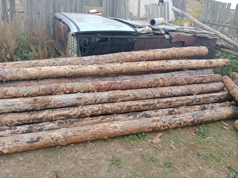 Продам жерди - сыргаул хорошие в наличие