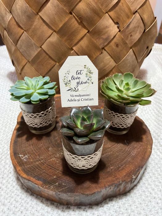 Marturii suculente nunta