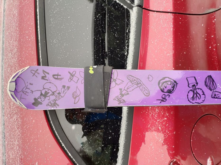 Ski/Schiuri Volkl RaceTiger Speedwall GS