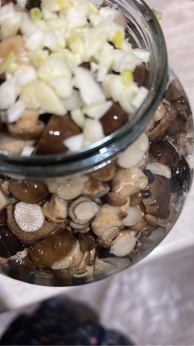 Продажа грибов