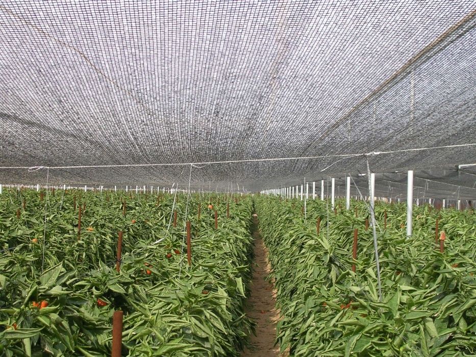 PLASA 35%-40%UMBRIRE 2x100m; 3x100m; 4x100m; 5x100m; 6x100m; 8x100m