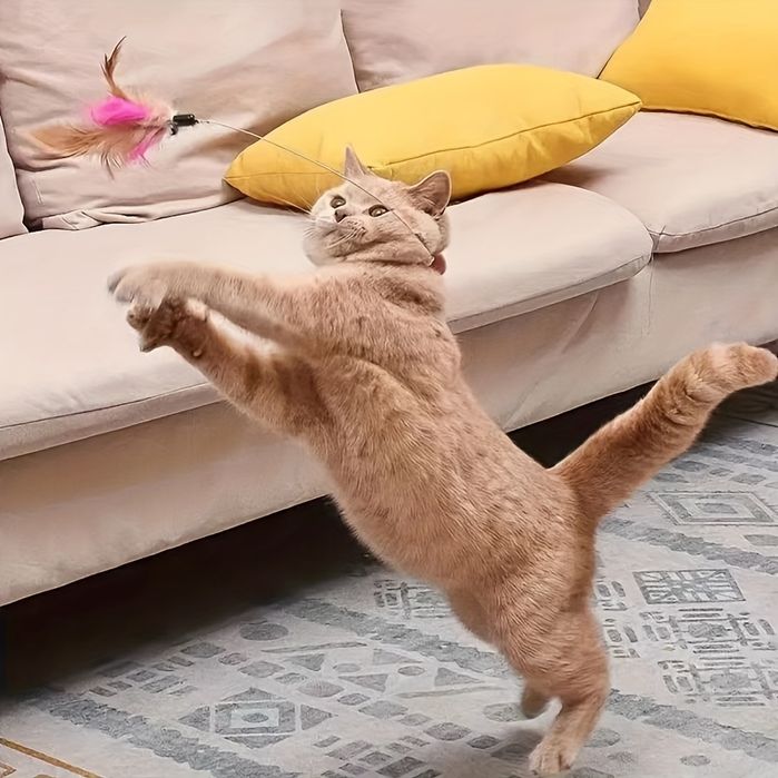 Каишка с играчка с пера за котки