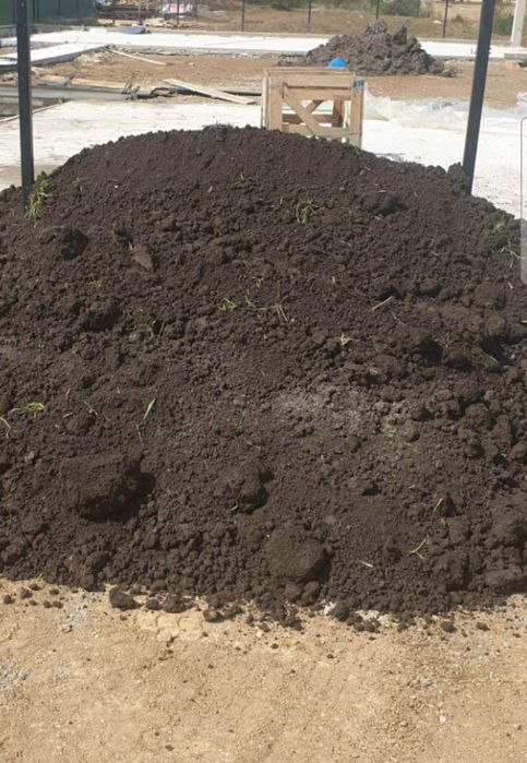 Pamant negru vegetal