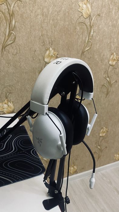 Razer blackshark v2 X